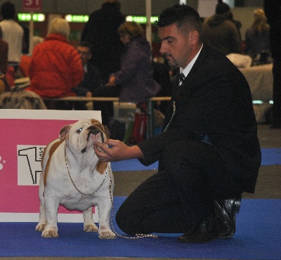 Strawberry Bull's - Diabolo valide son titre de champion Suisse