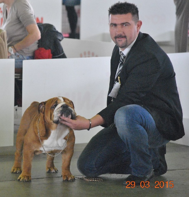 Strawberry Bull's - Alès le 29 mars 2015 juge Mr Garnero