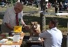  - Spéciale Bulldog CACS Aigrefeuille-d'Aunis le 28 juillet Mr Lasselin