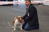  - CACS CACIB spéciale bulldog Bordeaux le 15 janvier 2017  Mr Barenne