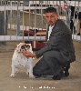  - CACS CACIB Béziers le 16 juin 2013 juge Mr Giannone