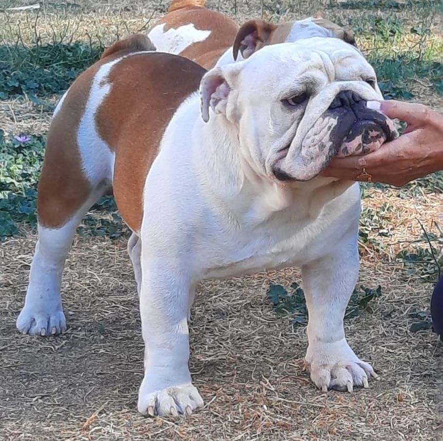 NDS & IDS du 3 au 5 octobre 2025 en Suisse à Genève 