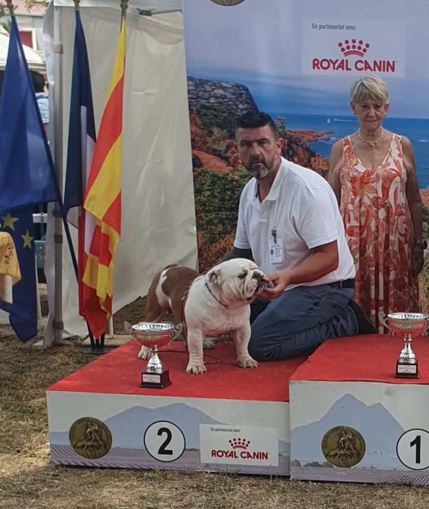 Strawberry Bull's - NDS Brignoles le 14 juin 2025 juge Mr Pecoult
